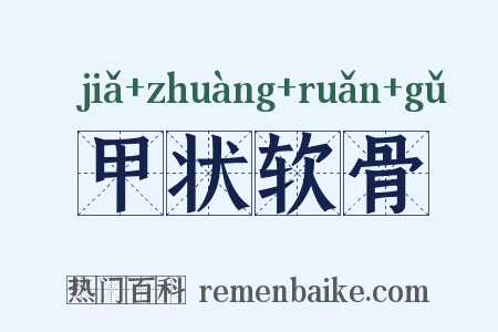 甲状软骨是什么意思的图片